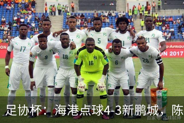 足协杯：海港点球4-3新鹏城，陈威失点&扑2点
